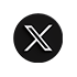 x Logo