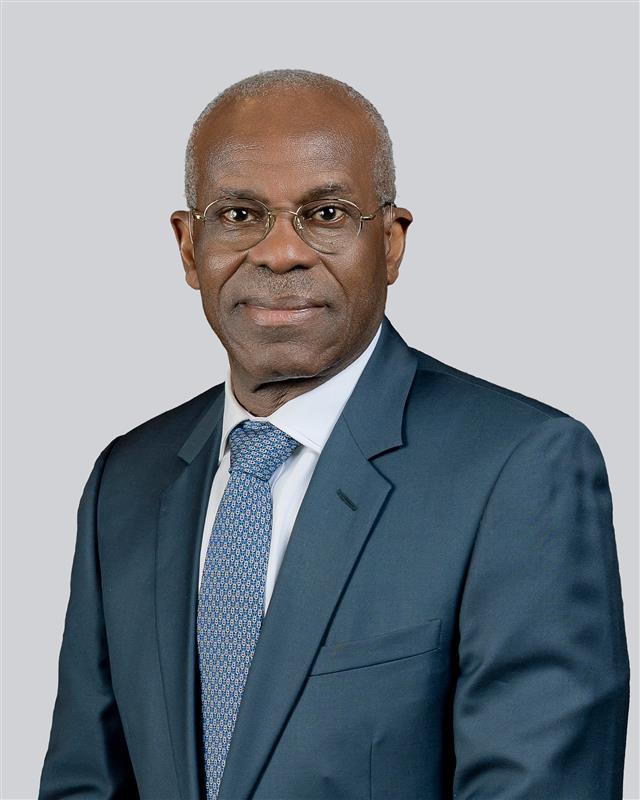 Chairman Renaissance Africa Energy